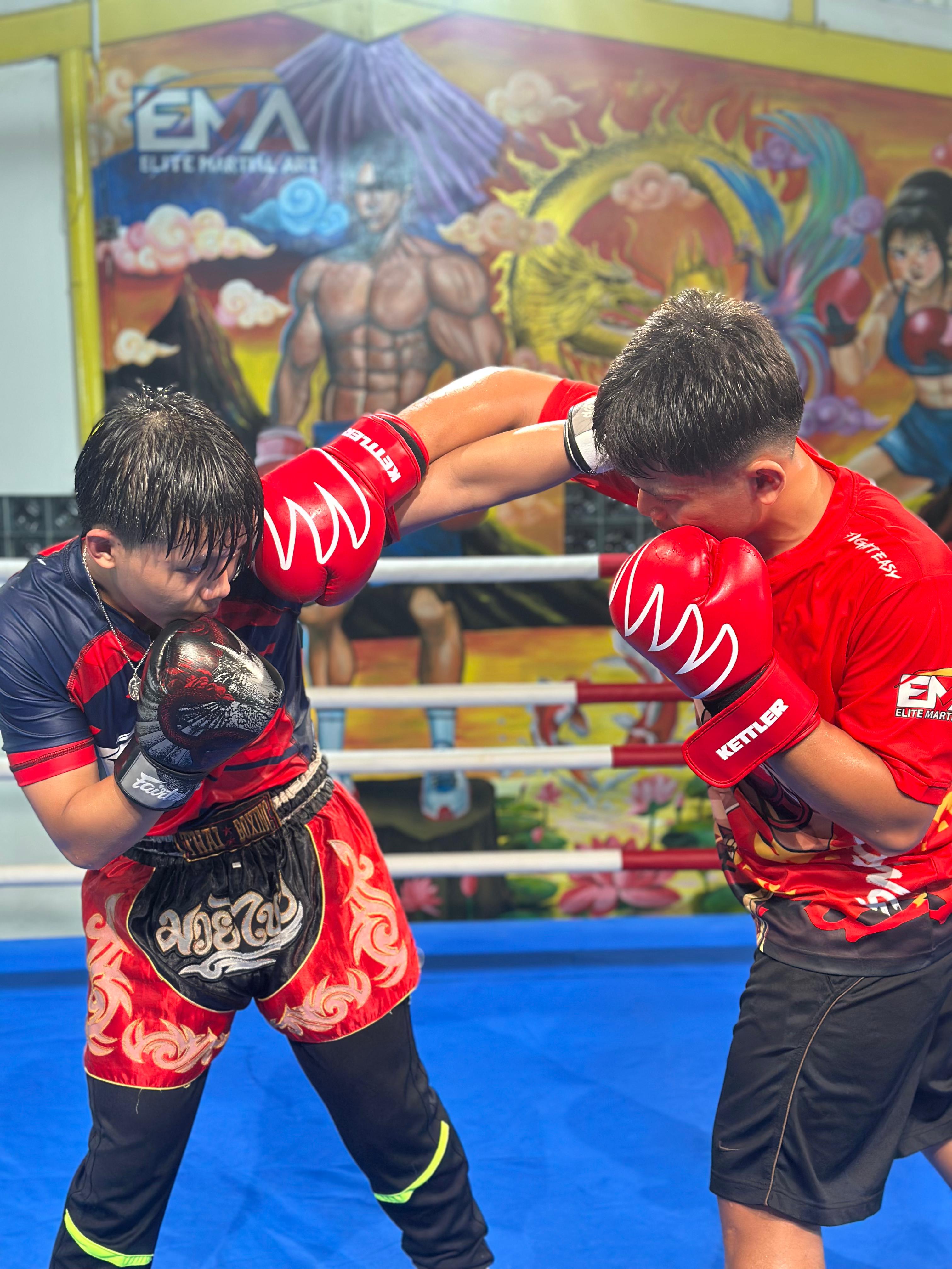 Boxing Training 1