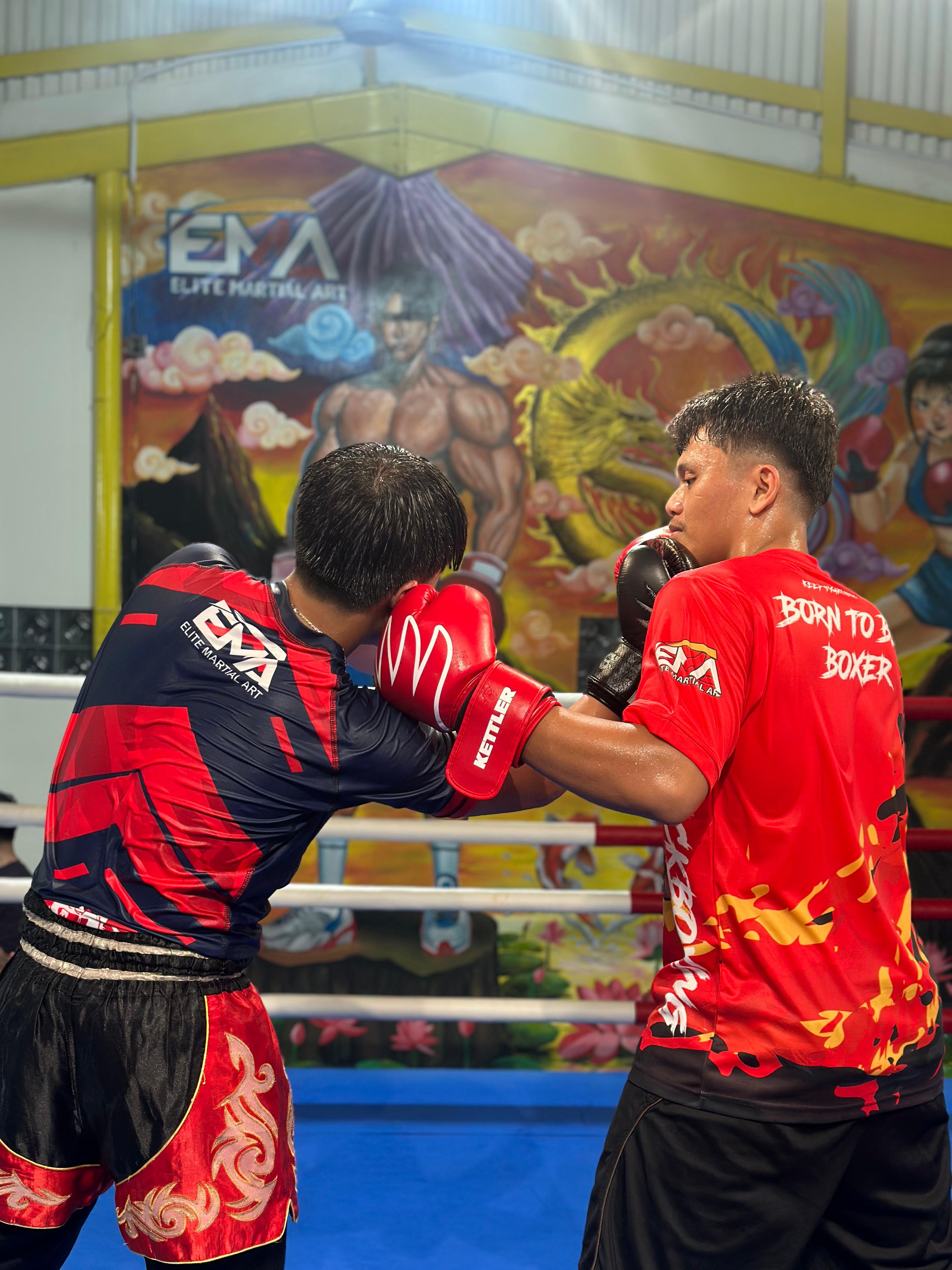 Boxing Training 2