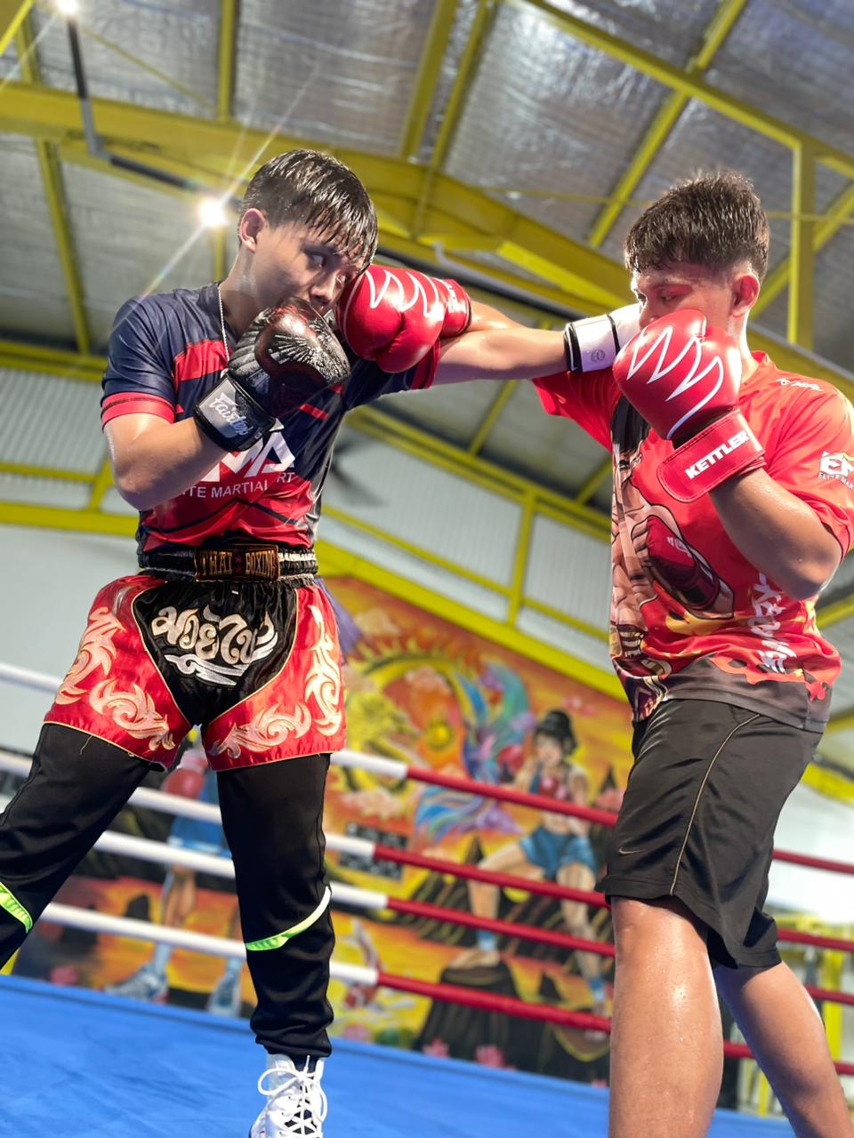 Boxing Ring