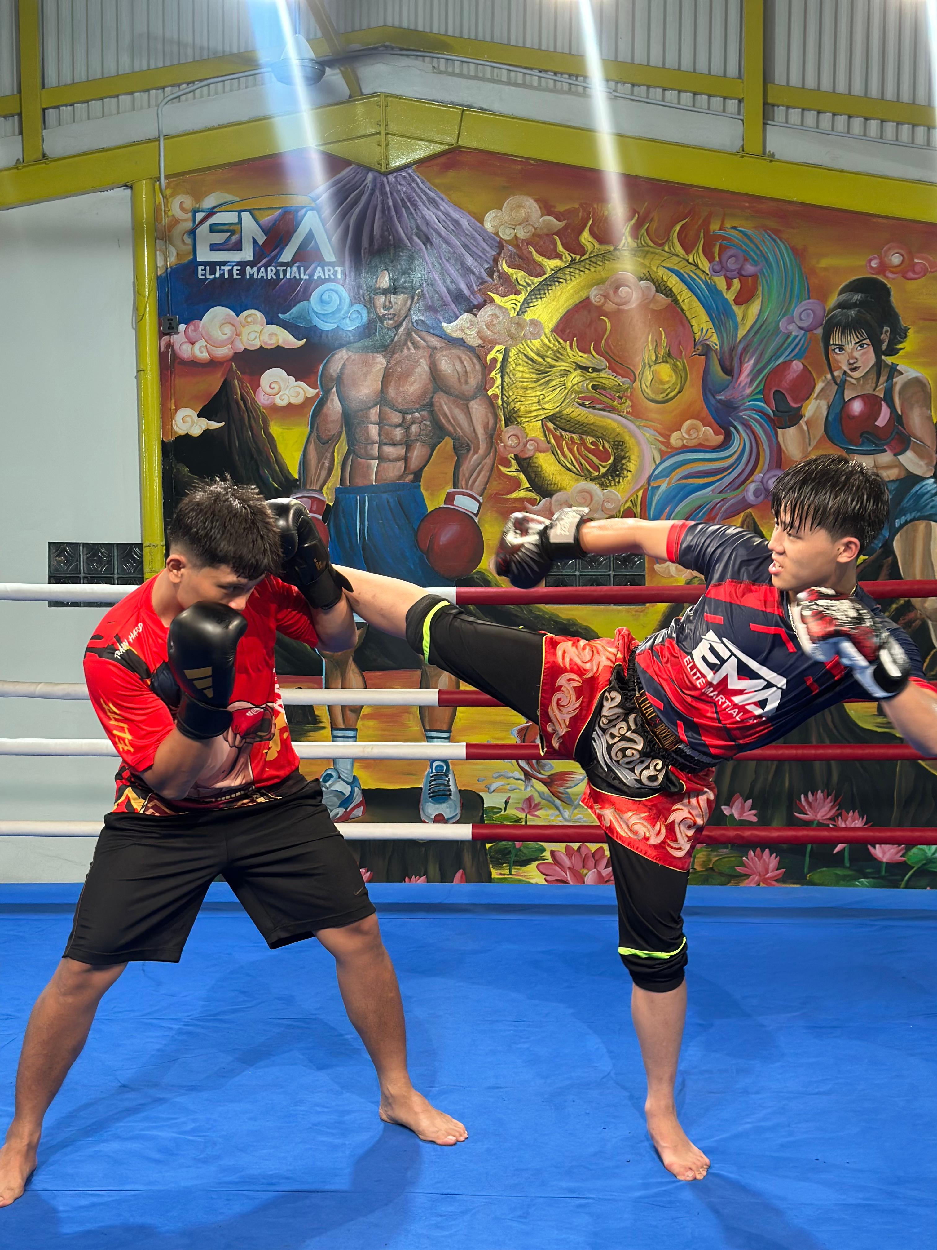 Kickboxing 3