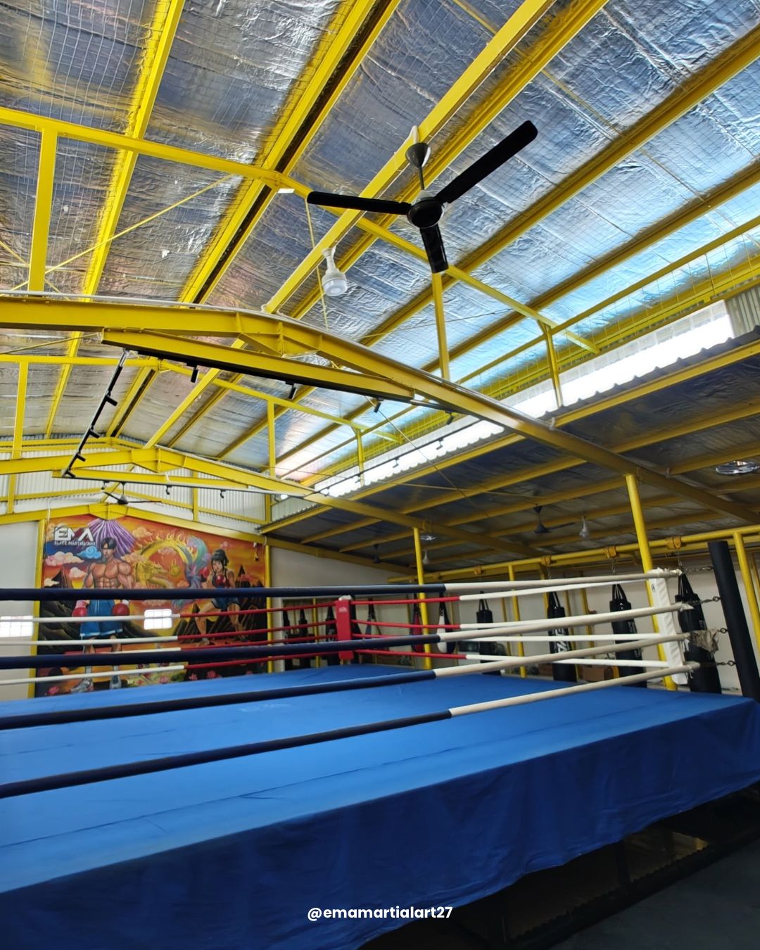 Ring Showcase 1